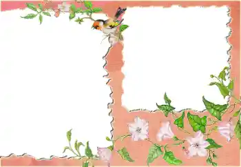 Foto-effetti della categoria Vari № 24418