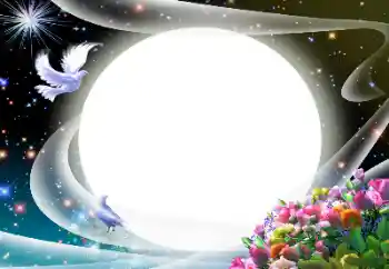 Foto-effetti della categoria Vari № 24510