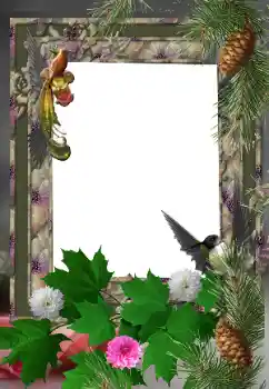 Foto-effetti della categoria Vari № 24525