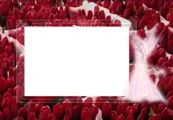 Foto-effetti della categoria Vari № 2452