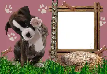 Foto-effetti della categoria Vari № 24550