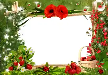 Foto-effetti della categoria Vari № 25445