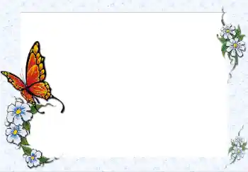 Foto-effetti della categoria Vari № 25467