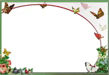 Foto-effetti della categoria Vari № 25484