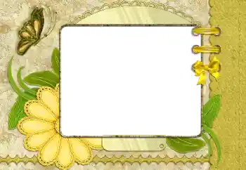 Foto-effetti della categoria Vari № 26523