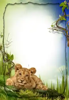 Foto-effetti della categoria Vari № 26572