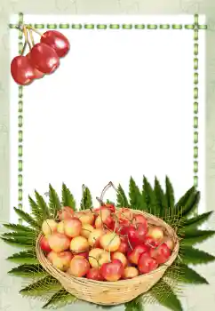 Foto-effetti della categoria Vari № 2657