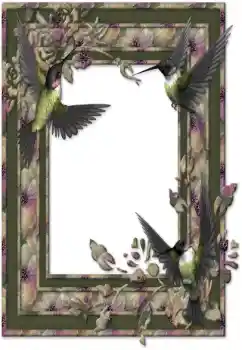 Foto-effetti della categoria Vari № 26588