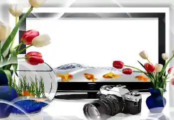 Foto-effetti della categoria Vari № 26669