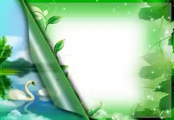 Foto-effetti della categoria Vari № 26723