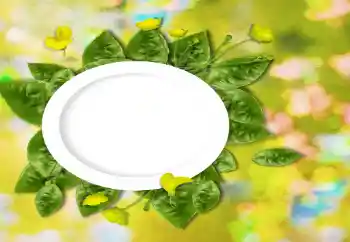 Foto-effetti della categoria Vari № 26737