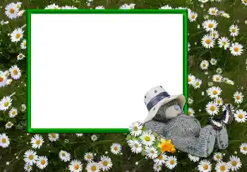 Foto-effetti della categoria Vari № 2893