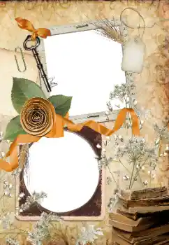 Foto-effetti della categoria Vari № 33766