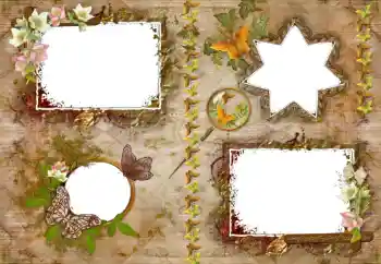 Foto-effetti della categoria Vari № 33900