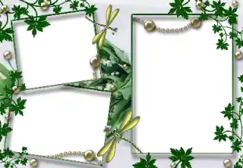 Foto-effetti della categoria Vari № 33922