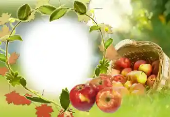 Foto-effetti della categoria Vari № 34029