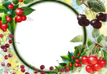 Foto-effetti della categoria Vari № 3416