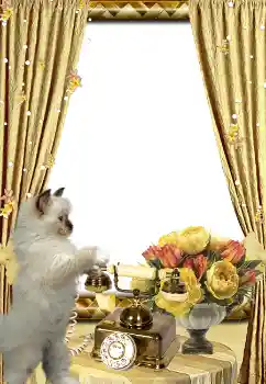 Foto-effetti della categoria Vari № 3419