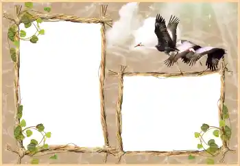 Foto-effetti della categoria Vari № 3430