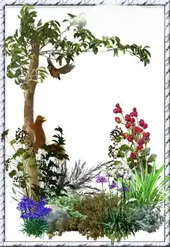 Foto-effetti della categoria Vari № 34798