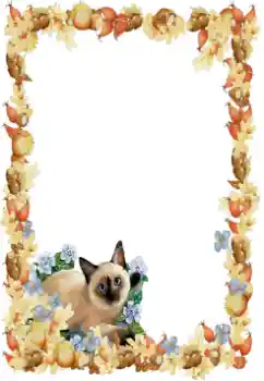 Foto-effetti della categoria Vari № 34851