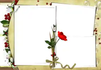 Foto-effetti della categoria Vari № 34870