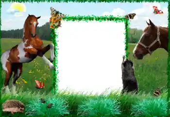 Foto-effetti della categoria Vari № 34915