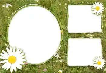 Foto-effetti della categoria Vari № 34932