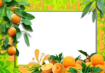 Foto-effetti della categoria Vari № 36215