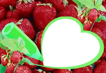 Foto-effetti della categoria Vari № 36225