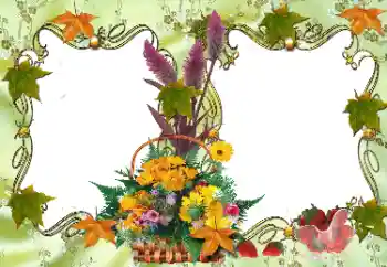 Foto-effetti della categoria Vari № 36278