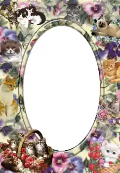 Foto-effetti della categoria Vari № 3702