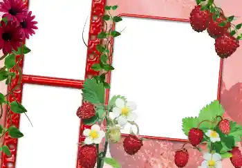 Foto-effetti della categoria Vari № 3703