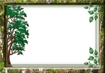 Foto-effetti della categoria Vari № 3732