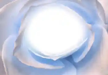 Foto-effetti della categoria Vari № 38328