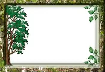 Foto-effetti della categoria Vari № 38357