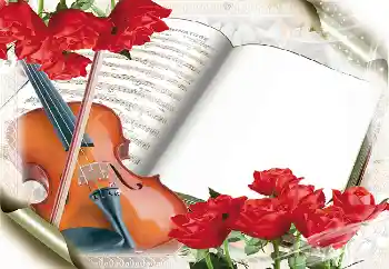 Foto-effetti della categoria Vari № 38533