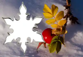 Foto-effetti della categoria Vari № 38548