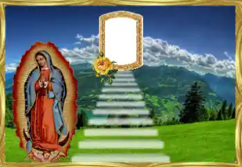 Foto-effetti della categoria Vari № 38584