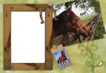 Foto-effetti della categoria Vari № 38802