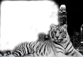 Foto-effetti della categoria Vari № 38947