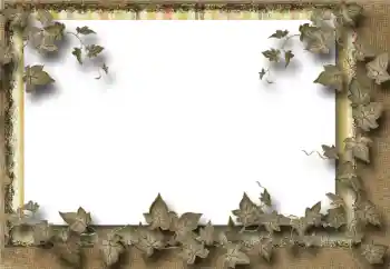 Foto-effetti della categoria Vari № 39069