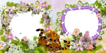 Foto-effetti della categoria Vari № 39171