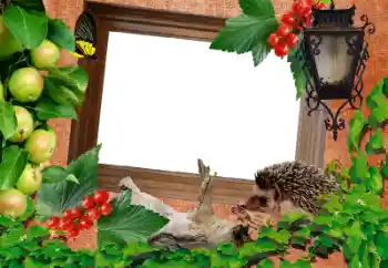 Foto-effetti della categoria Vari № 39216