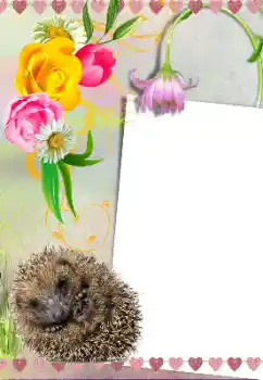 Foto-effetti della categoria Vari № 39281