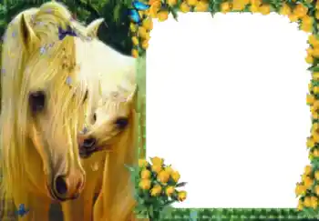 Foto-effetti della categoria Vari № 40511