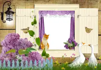 Foto-effetti della categoria Vari № 42597