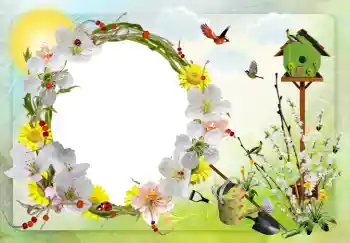 Foto-effetti della categoria Vari № 42598