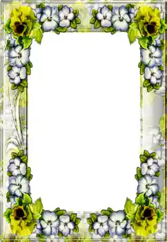 Foto-effetti della categoria Vari № 4367