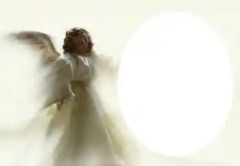 Foto-effetti della categoria Vari № 4541